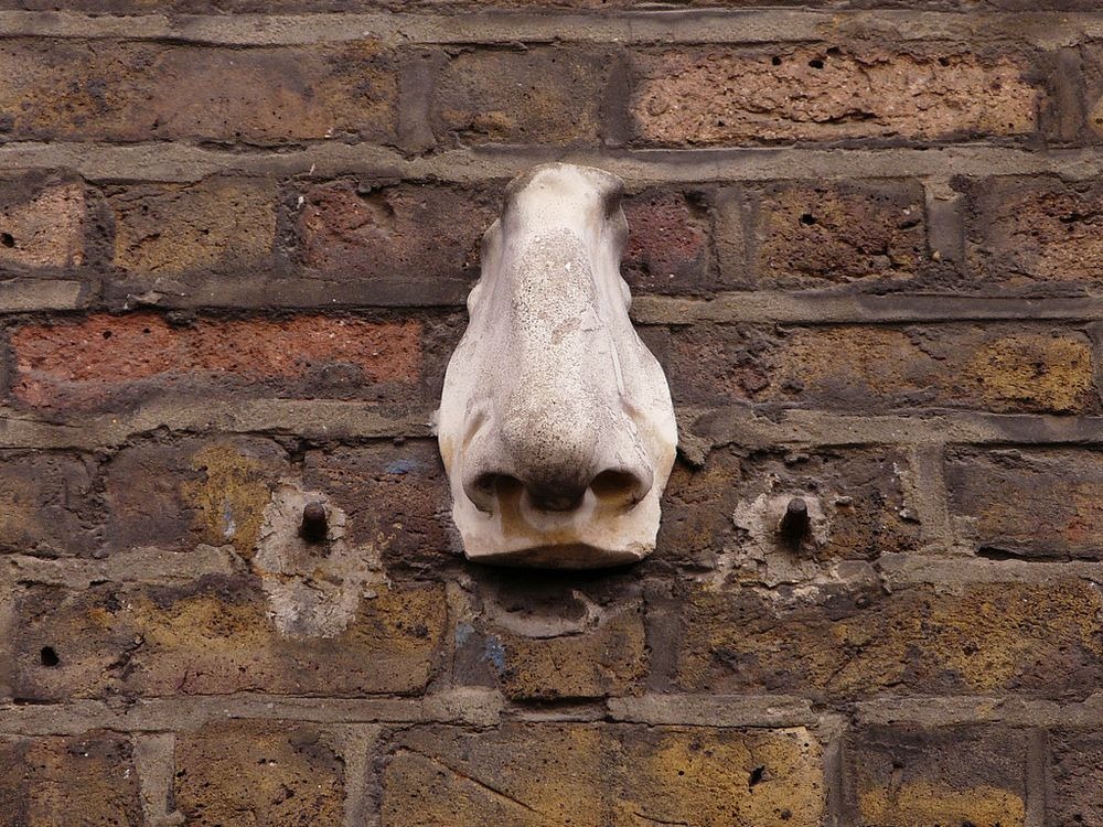 Seven Noses of Soho